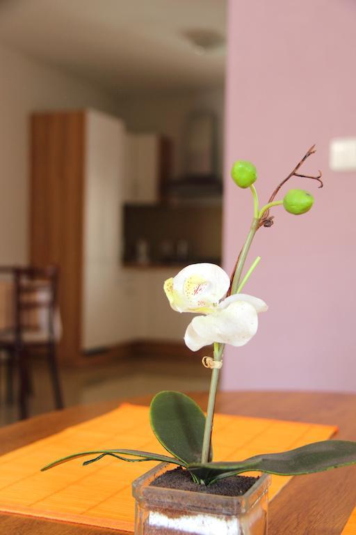 Vila Dravce Pokoj fotografie